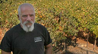 Project Screenshot: Northern Israel Small Businesses